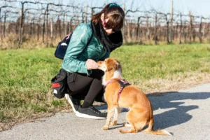 właścicielka dająca psu smakołyk